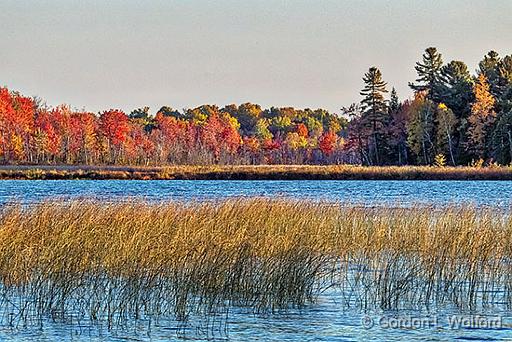 Autumn Otter Lake_DSCF4993.jpg - Photographed near Lombardy, Ontario, Canada.